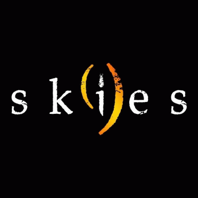 logo Nine Skies